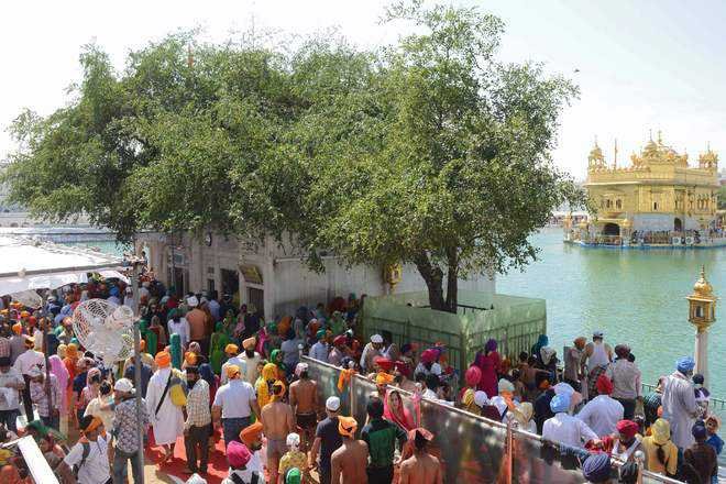 Golden Temple Has Medicinal Properties